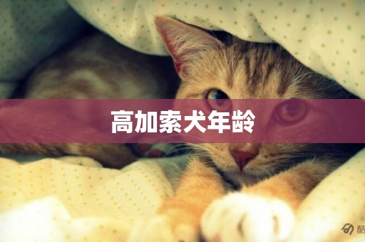 高加索犬年齡