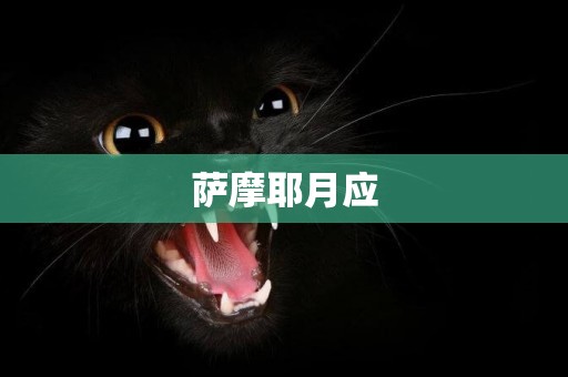 薩摩耶月應