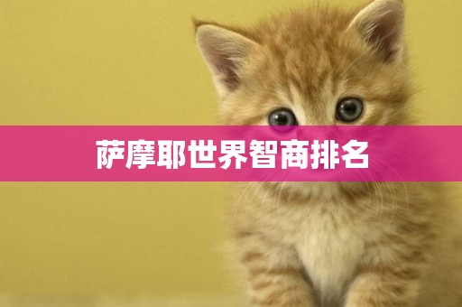 薩摩耶世界智商排名
