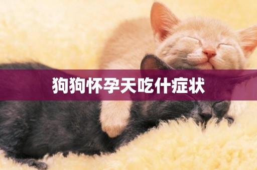 狗狗懷孕天吃什癥狀
