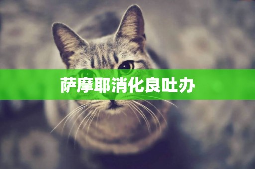 薩摩耶消化良吐辦