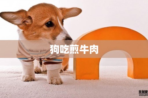 狗吃煎牛肉