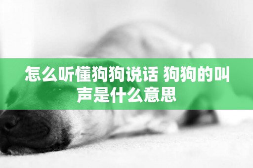 怎么聽懂狗狗說話 狗狗的叫聲是什么意思