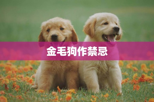 金毛狗作禁忌