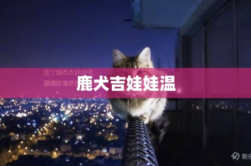 鹿犬吉娃娃溫
