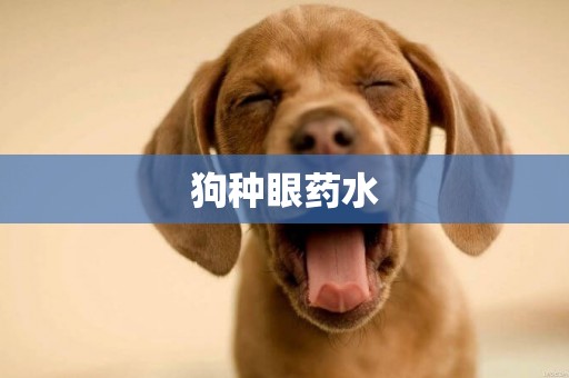 狗種眼藥水