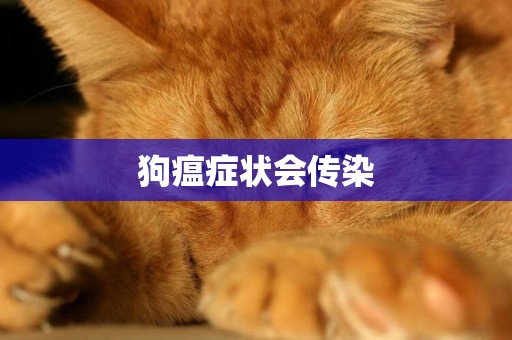 狗瘟癥狀會傳染