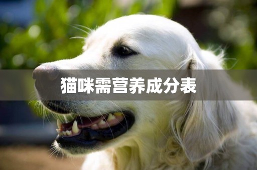 貓咪需營養成分表