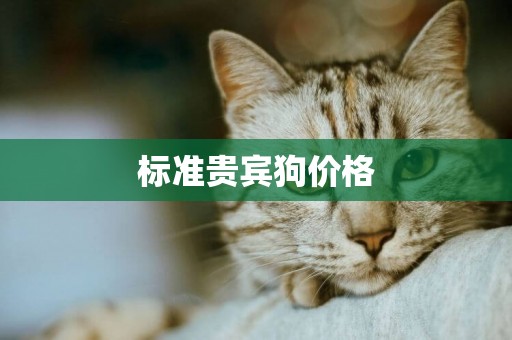 標準貴賓狗價格