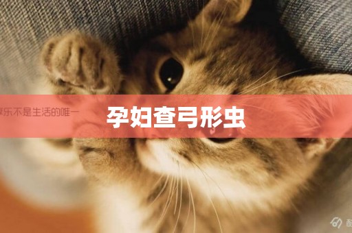 孕婦查弓形蟲