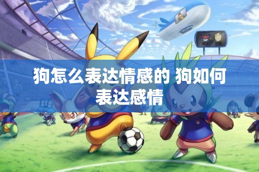 狗怎么表達情感的 狗如何表達感情