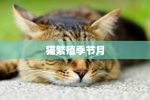 貓繁殖季節月