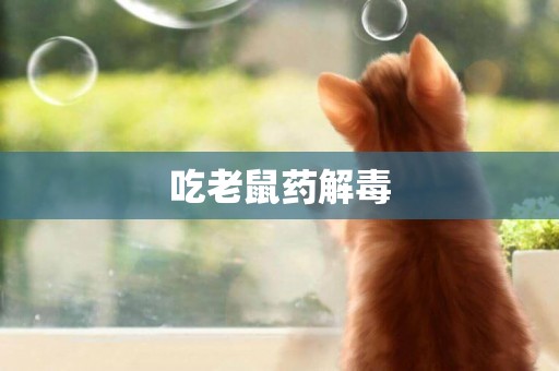 吃老鼠藥解毒