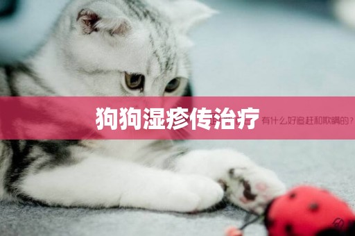 狗狗濕疹傳治療