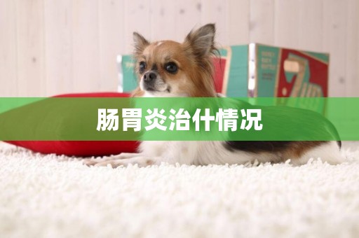 腸胃炎治什情況