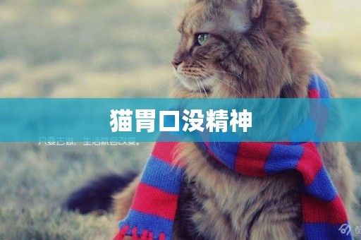 貓胃口沒精神
