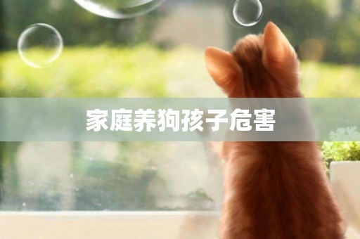 家庭養狗孩子危害