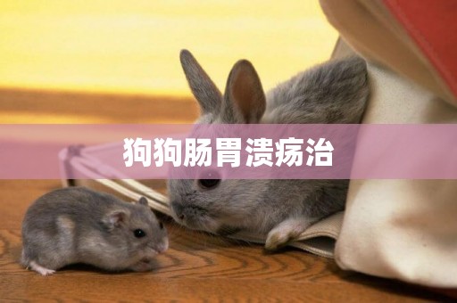 狗狗腸胃潰瘍治