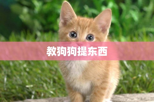 教狗狗提東西