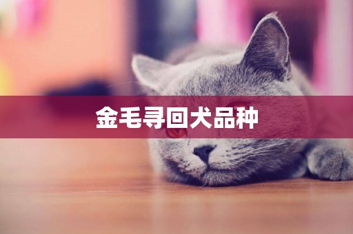 金毛尋回犬品種