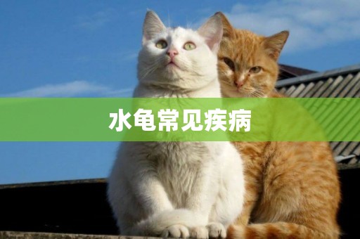 水龜常見疾病