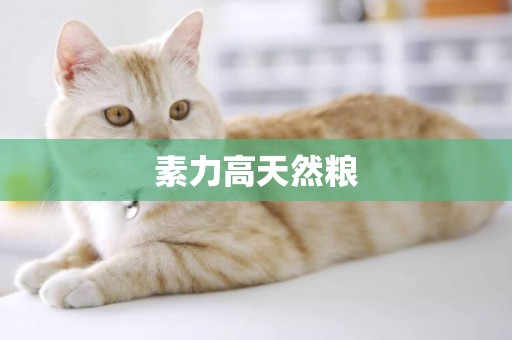 素力高天然糧
