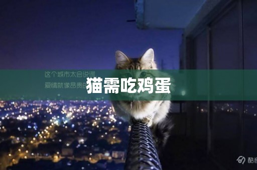 貓需吃雞蛋