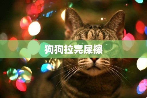 狗狗拉完屎擦
