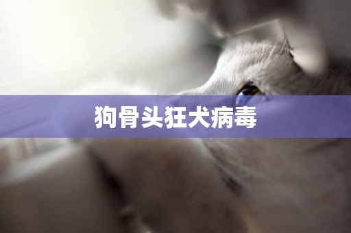 狗骨頭狂犬病毒