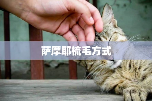 薩摩耶梳毛方式