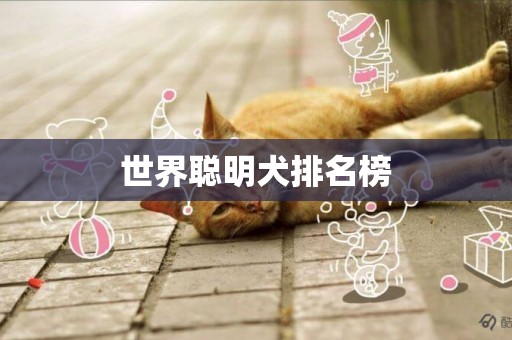 世界聰明犬排名榜