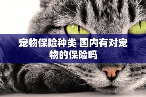 寵物保險種類 國內有對寵物的保險嗎