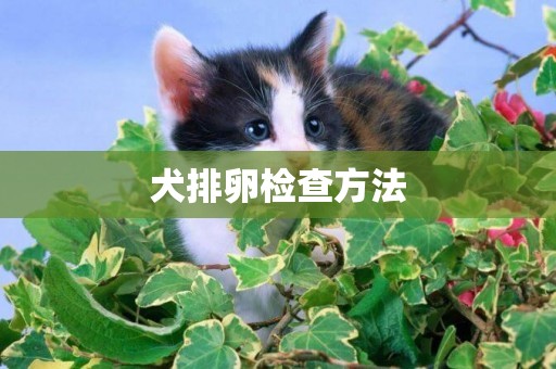 犬排卵檢查方法