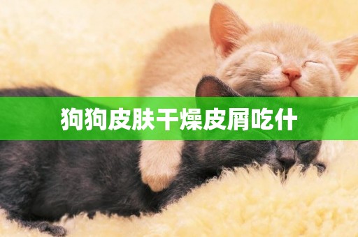 狗狗皮膚干燥皮屑吃什