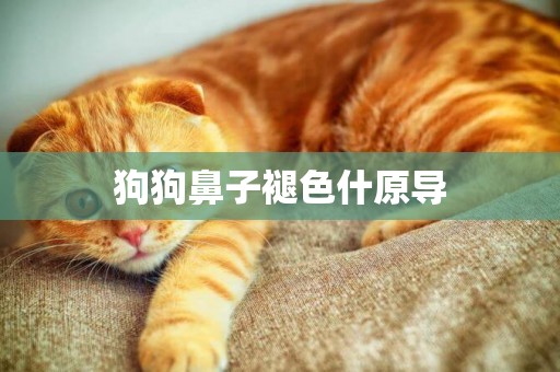 狗狗鼻子褪色什原導