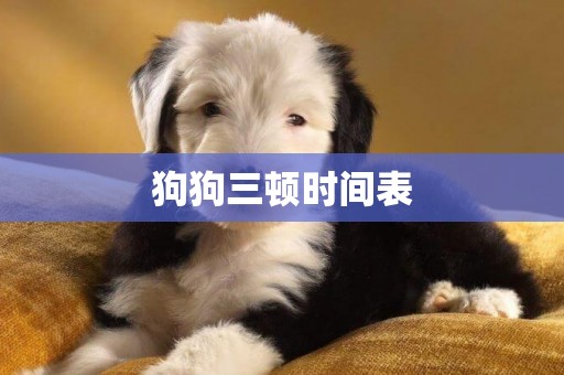 狗狗三頓時間表