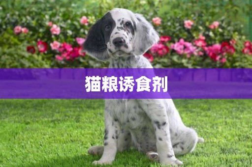 貓糧誘食劑