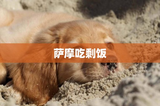 薩摩吃剩飯