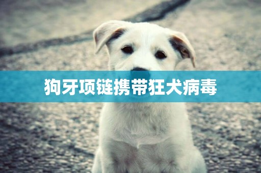 狗牙項鏈攜帶狂犬病毒