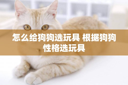 怎么給狗狗選玩具 根據狗狗性格選玩具
