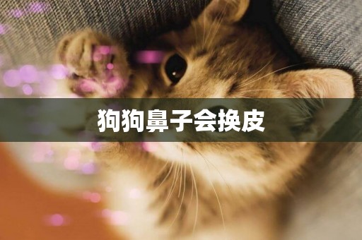 狗狗鼻子會換皮