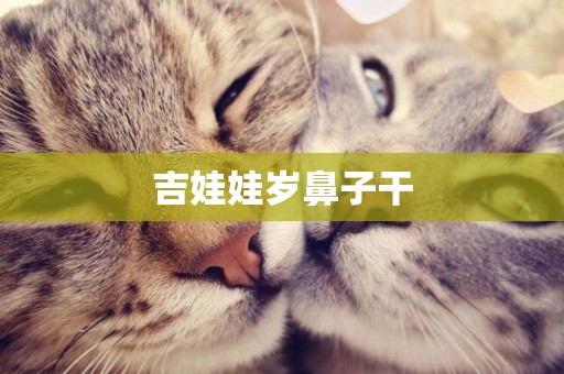吉娃娃歲鼻子干
