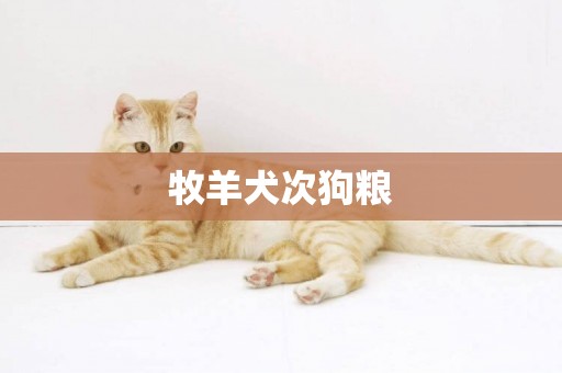 牧羊犬次狗糧