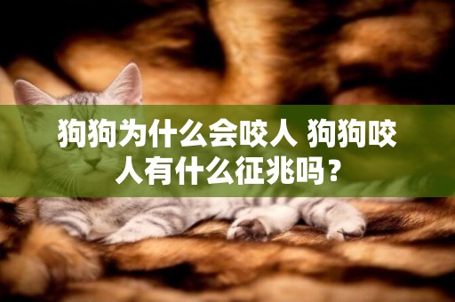 狗狗為什么會咬人 狗狗咬人有什么征兆嗎？