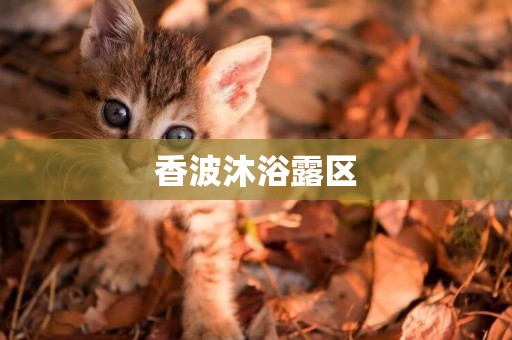 香波沐浴露區