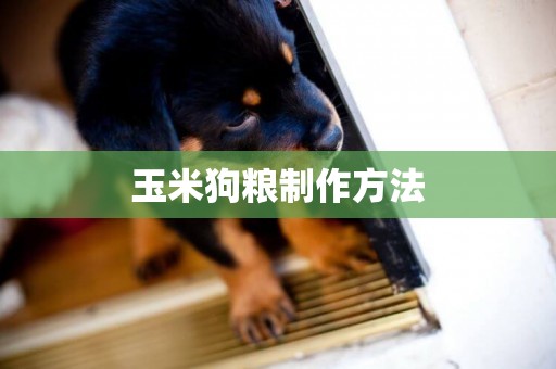 玉米狗糧制作方法