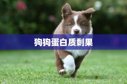 狗狗蛋白質剩果