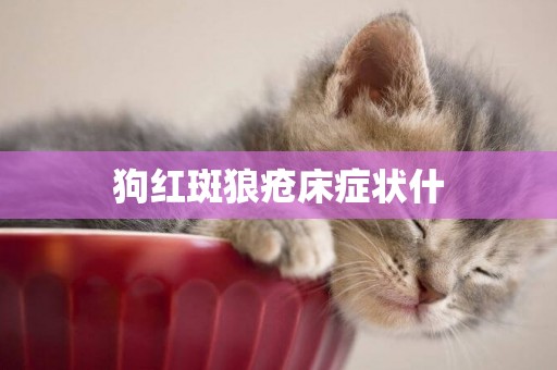 狗紅斑狼瘡床癥狀什