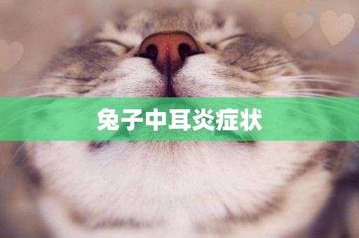 兔子中耳炎癥狀