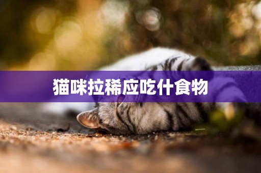 貓咪拉稀應吃什食物